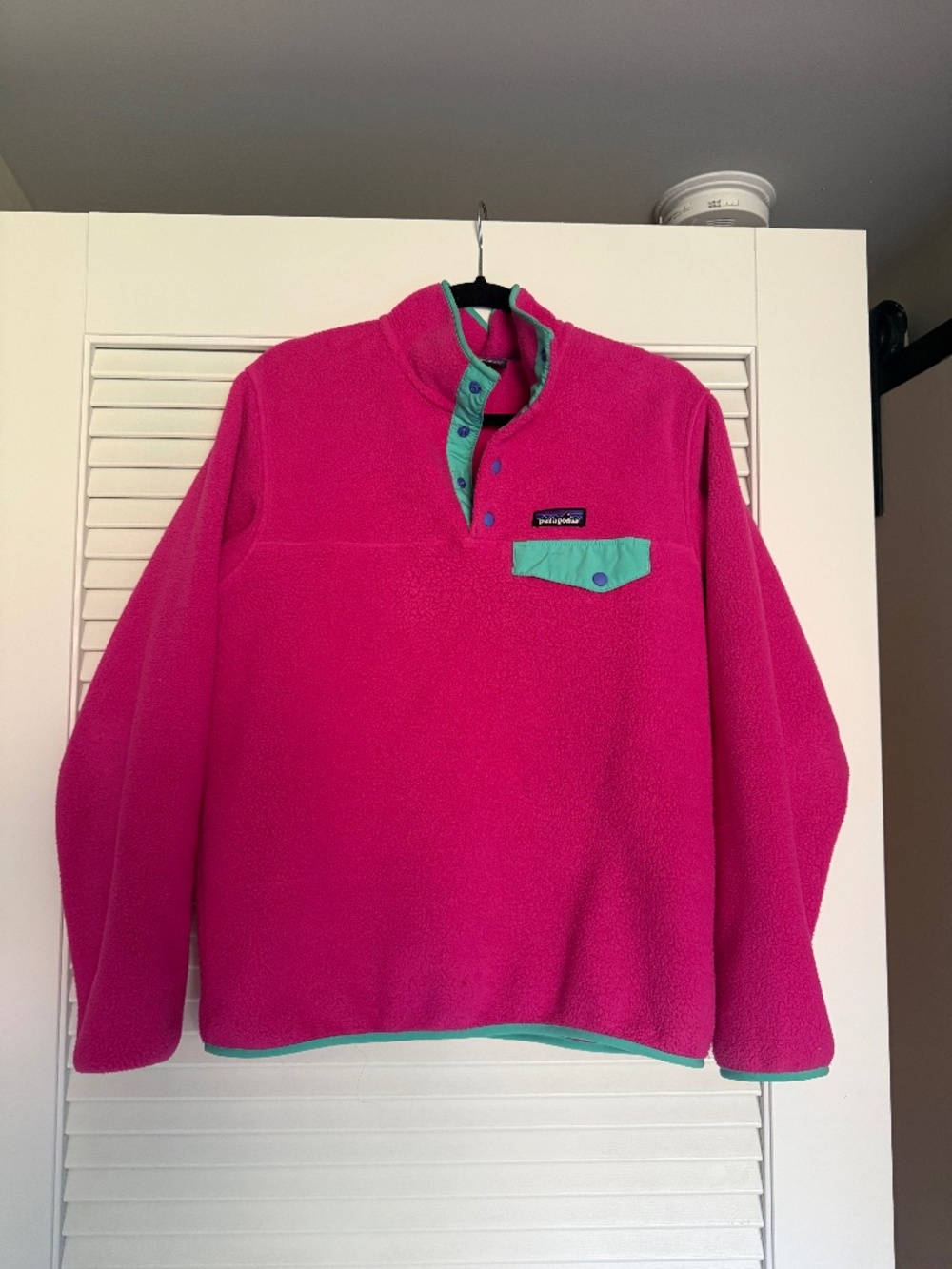 Patagonia Synchilla Fleece